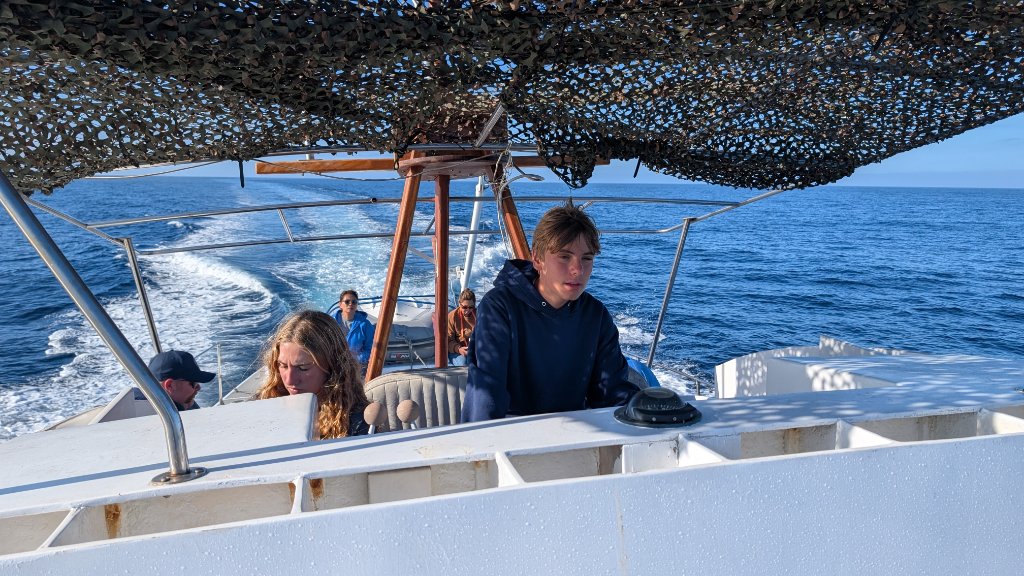 Scout at the helm