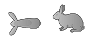 Body condition 3