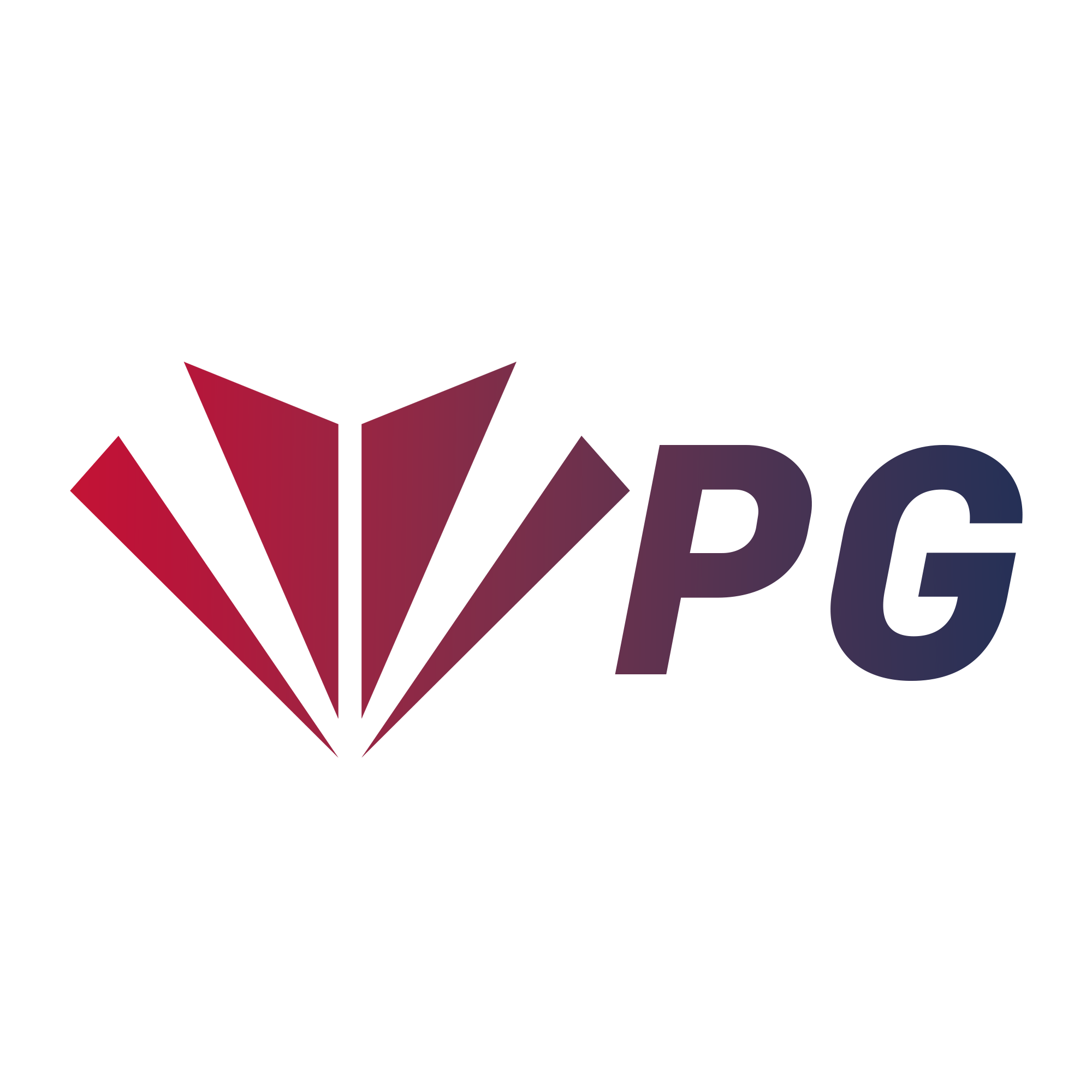 Platforma VPG logo