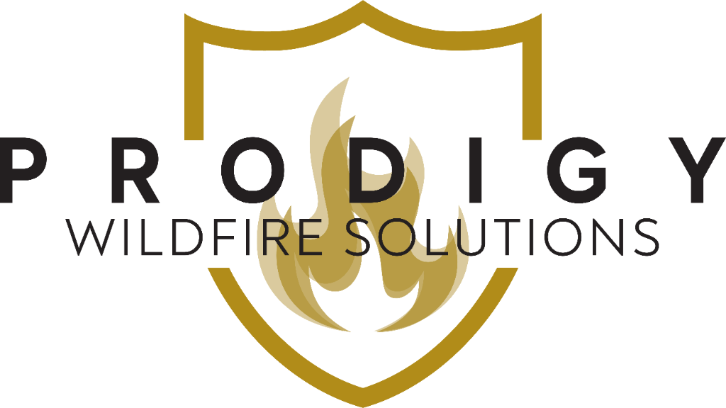 Prodigy Wildfire