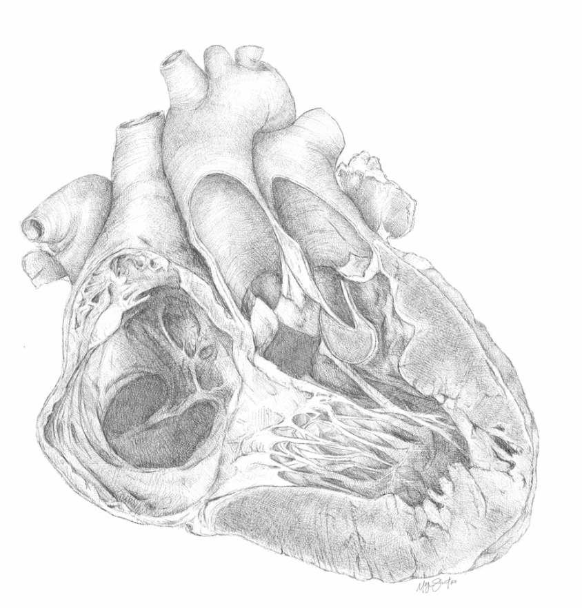 Heart of Gold