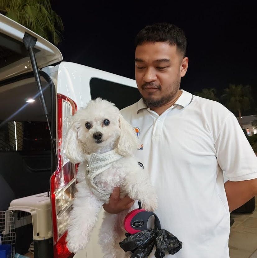 Pet 3