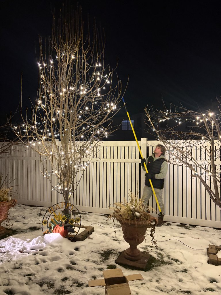 Trees and Bushes