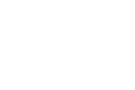 CruiseCtrl logo