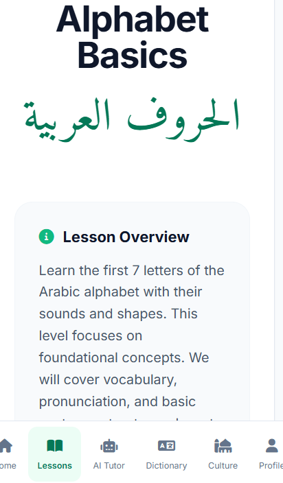 Arabic To Non Arabic Speakers template preview