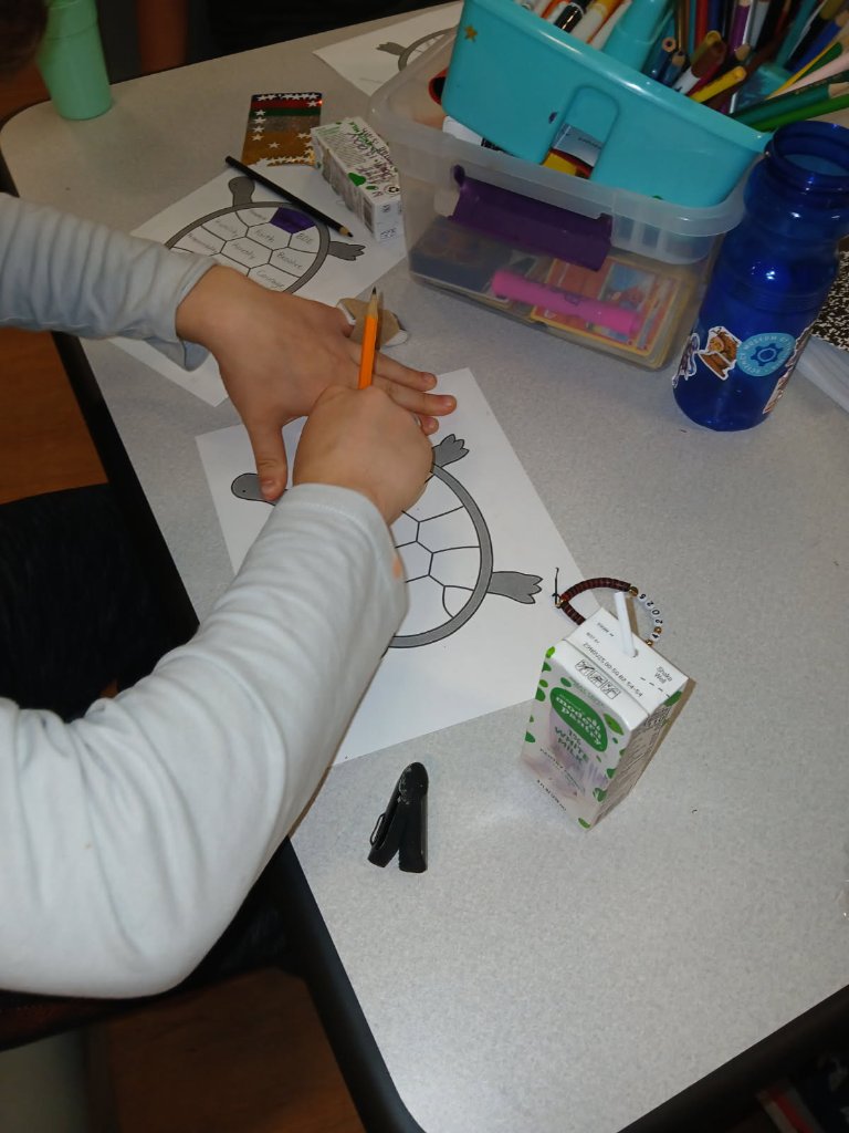 Student Learning Activity