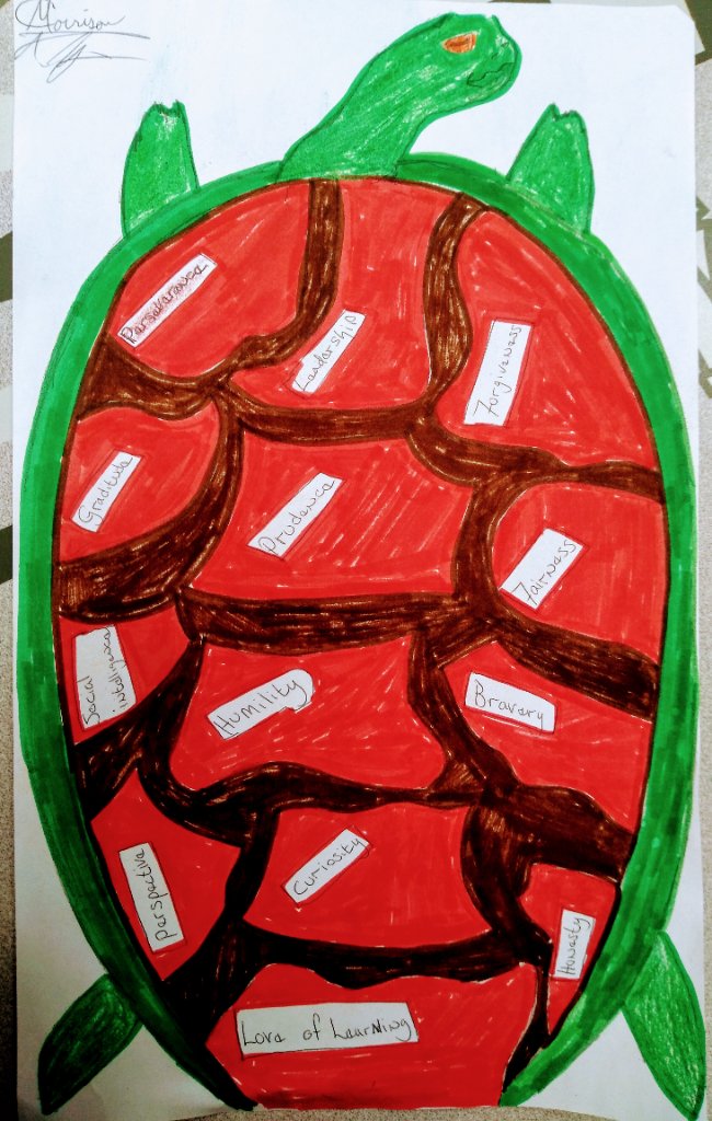 Red Shell - Life Values