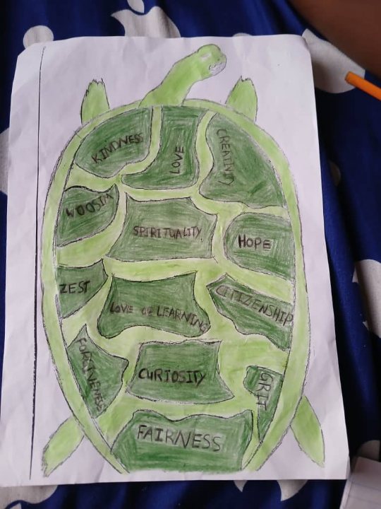 Tortoise Shell - Green Design