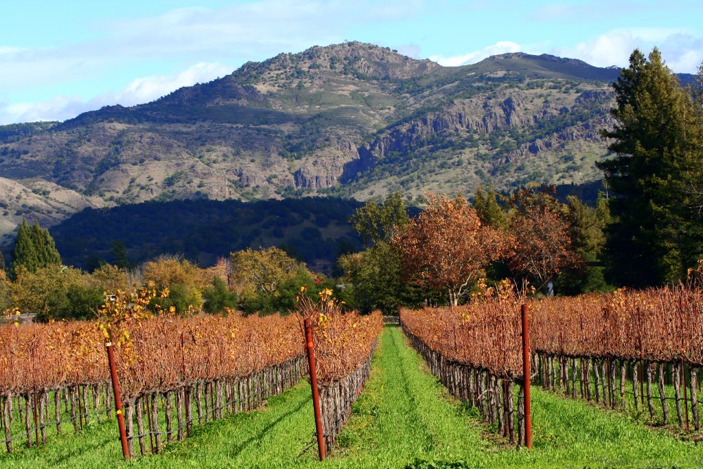 Napa Valley