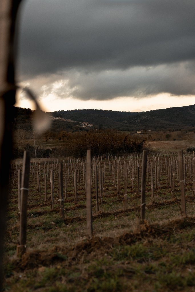 Terroir de Provence