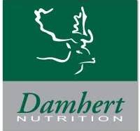 Damhert