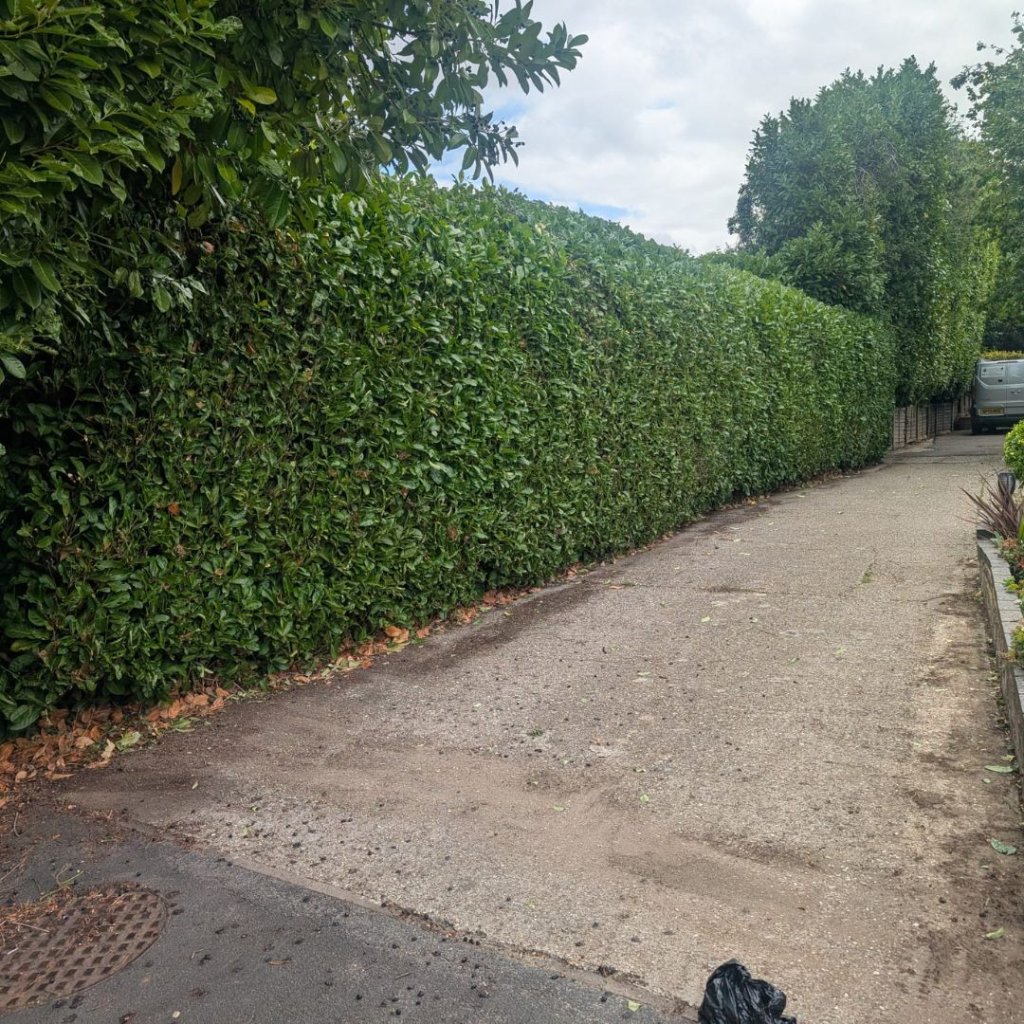 Basingstoke Garden Pros