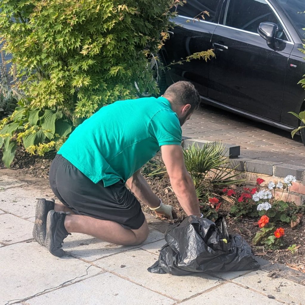 Professional weeding and garden maintenance Basingstoke