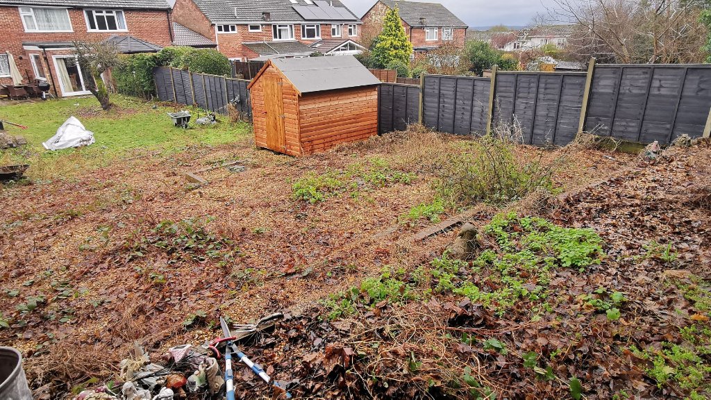 Before: neglected lawn in Basingstoke mowed, edged and cleared of garden waste