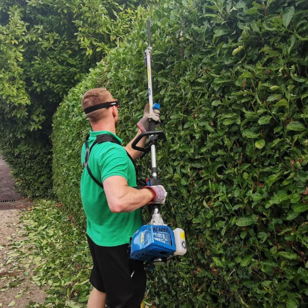 Expert hedge trimming with professional equipment Basingstoke