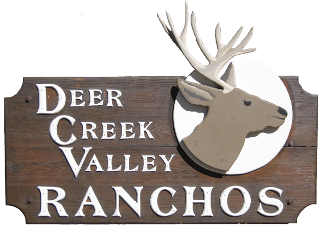 DCVR Neighborhood APP logo