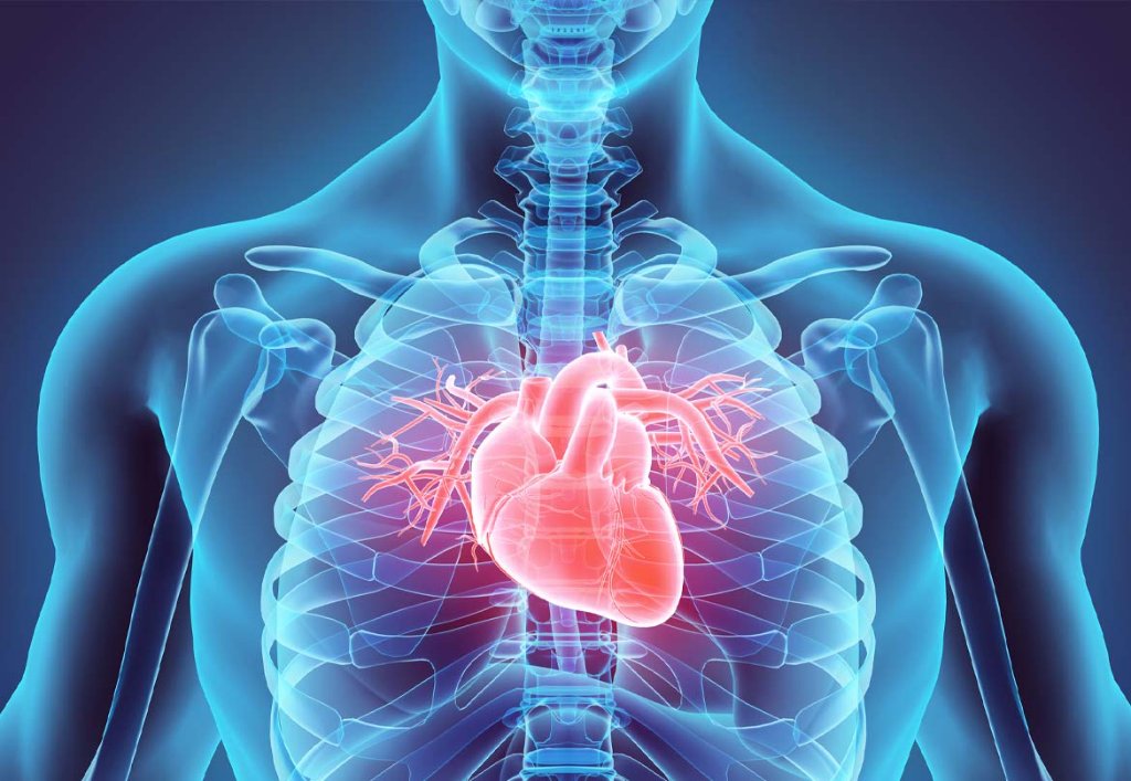 Cardiologia