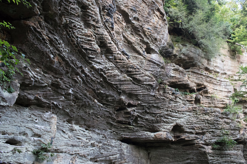 Don't Let Rain Stop Your Send: The Red River Gorge's Best Dry Crag