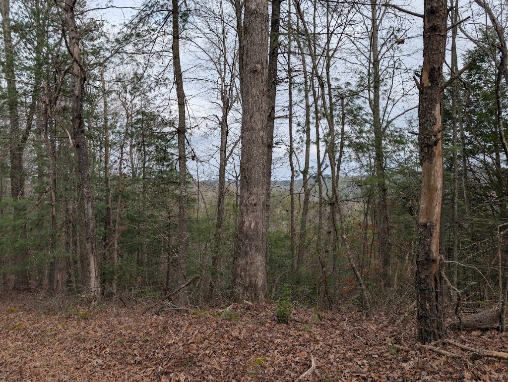 Mountain View Lot #1