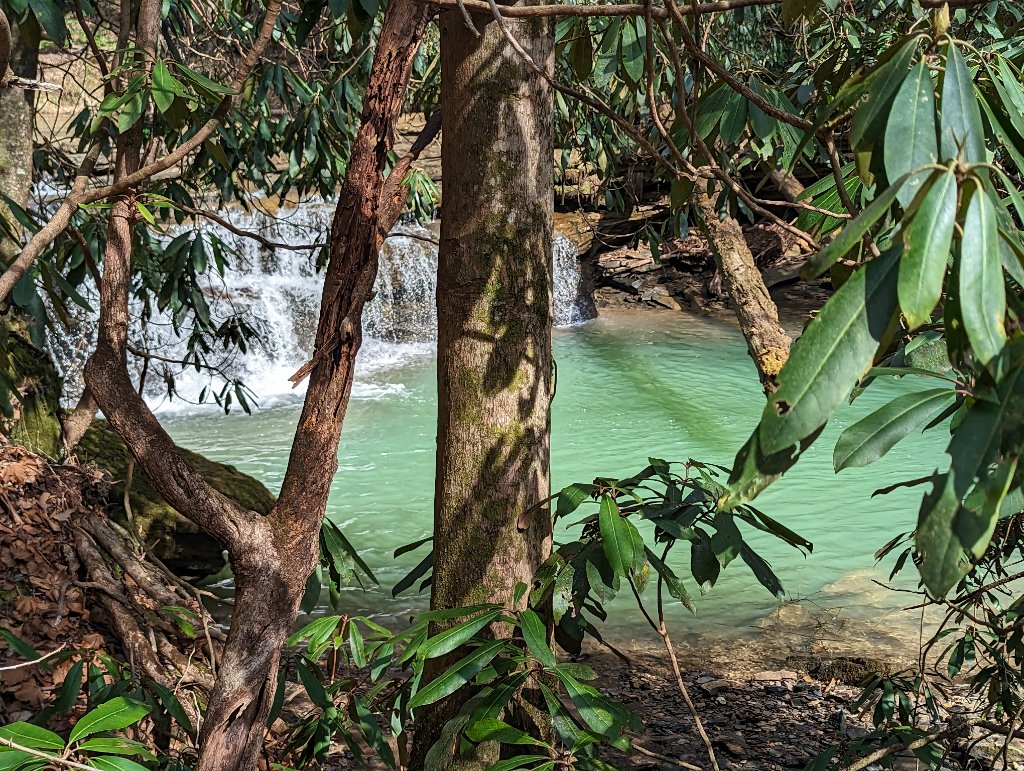 Komodo Springs