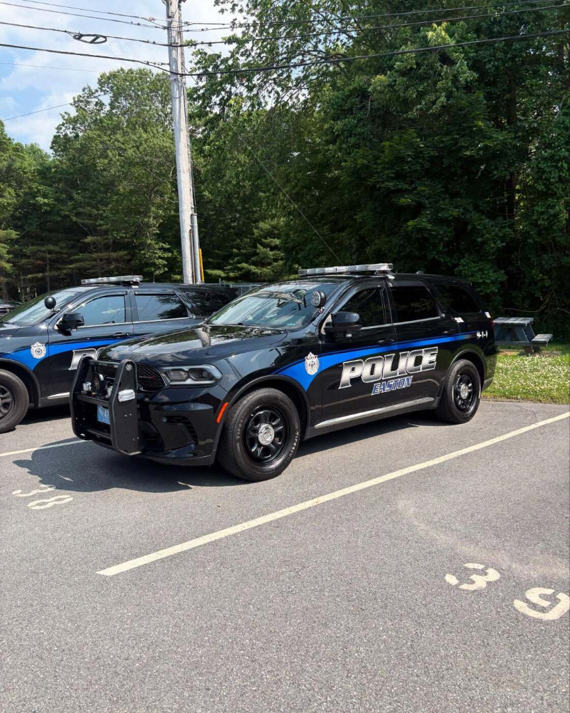 Police fleet detailing