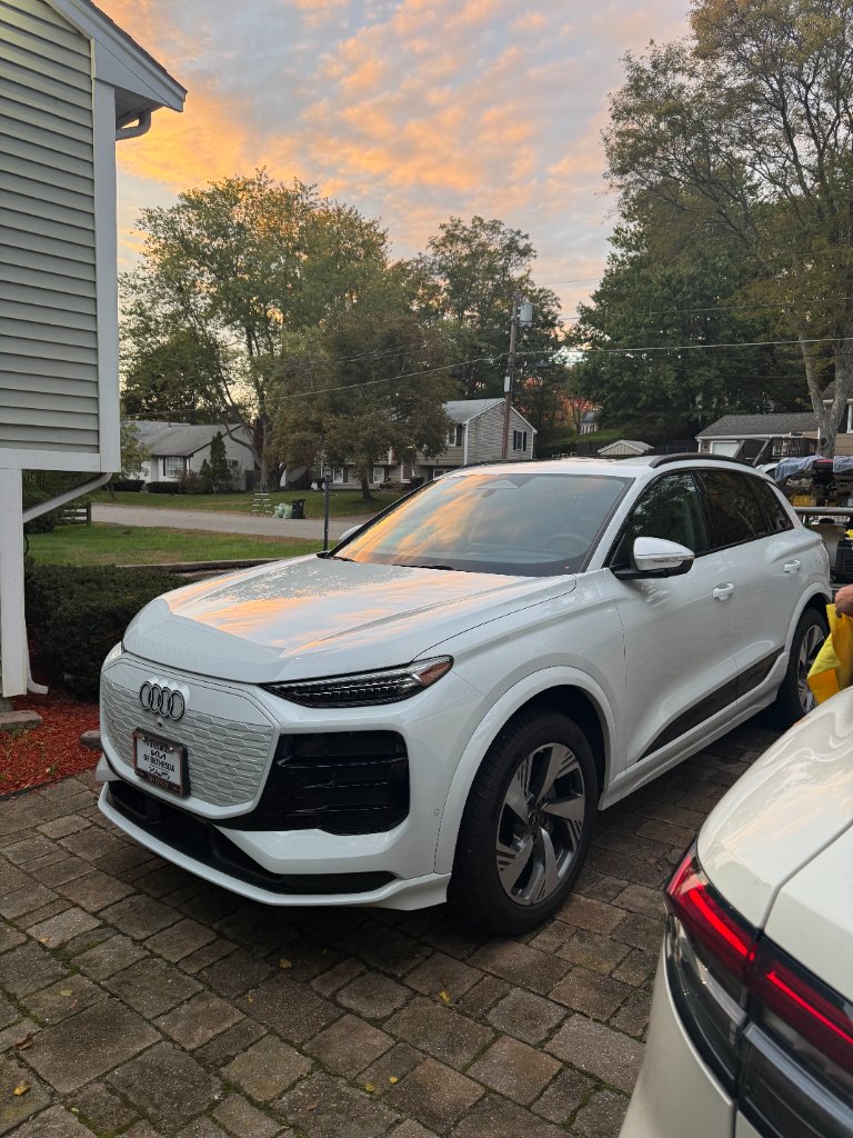 Professional detailing