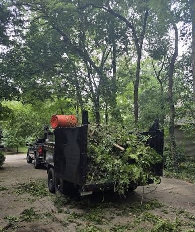 Yard Cleanup