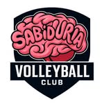 sabiduria Volleyball Hub logo