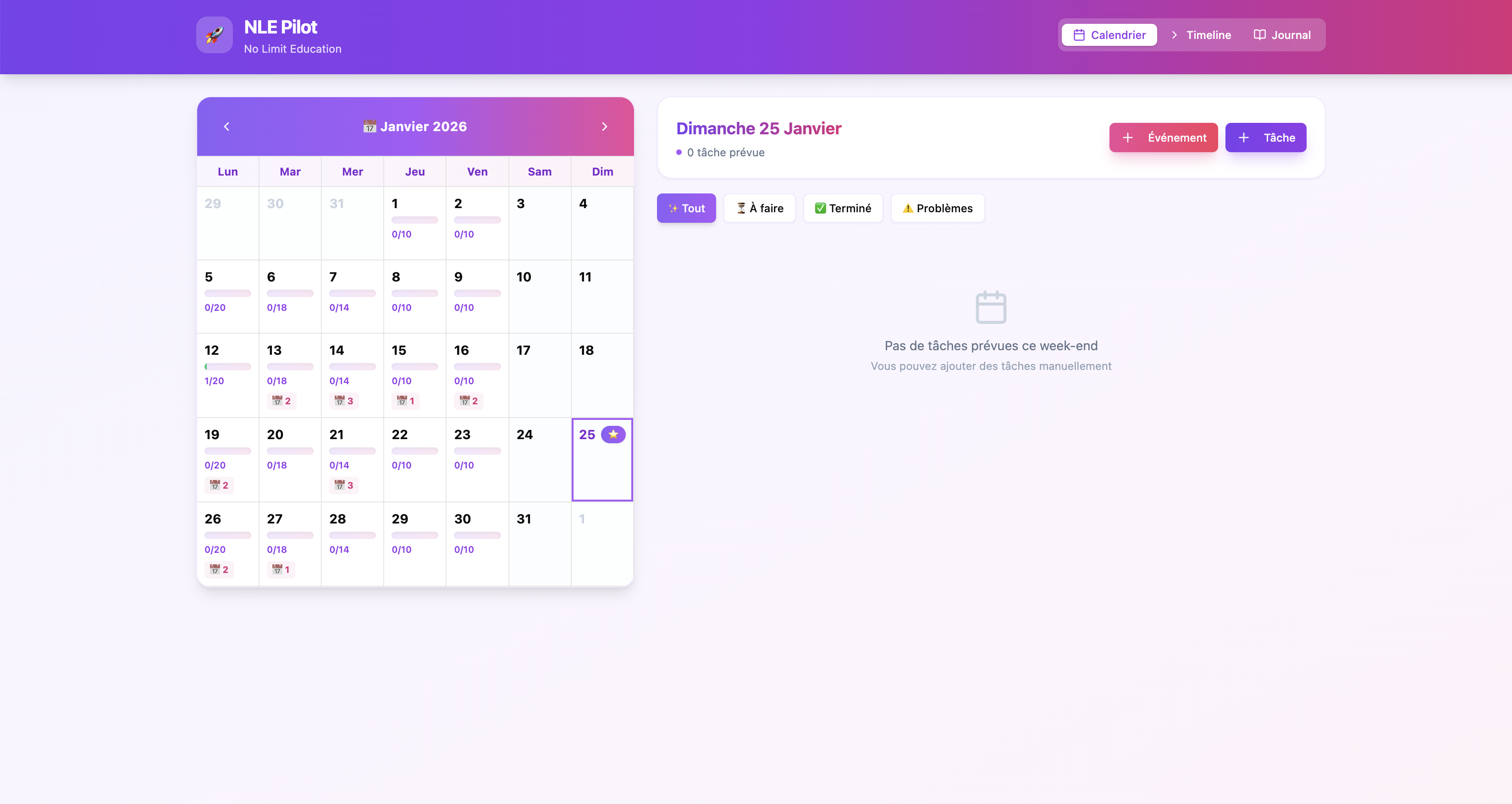 Copie NLE Pilot template preview