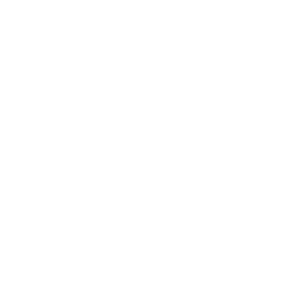 Dynaplus