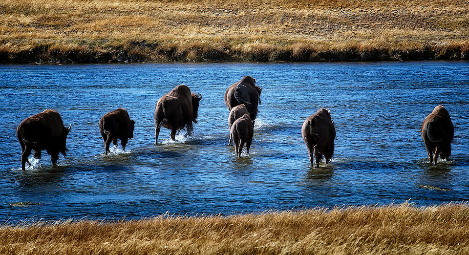 The Crossing