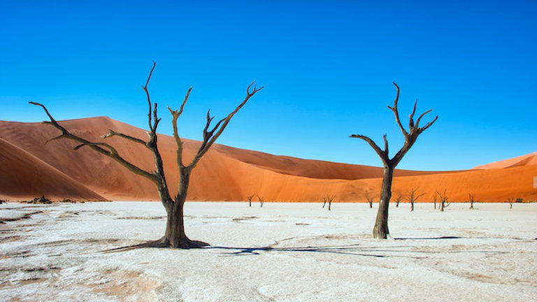 Namibian Beauty
