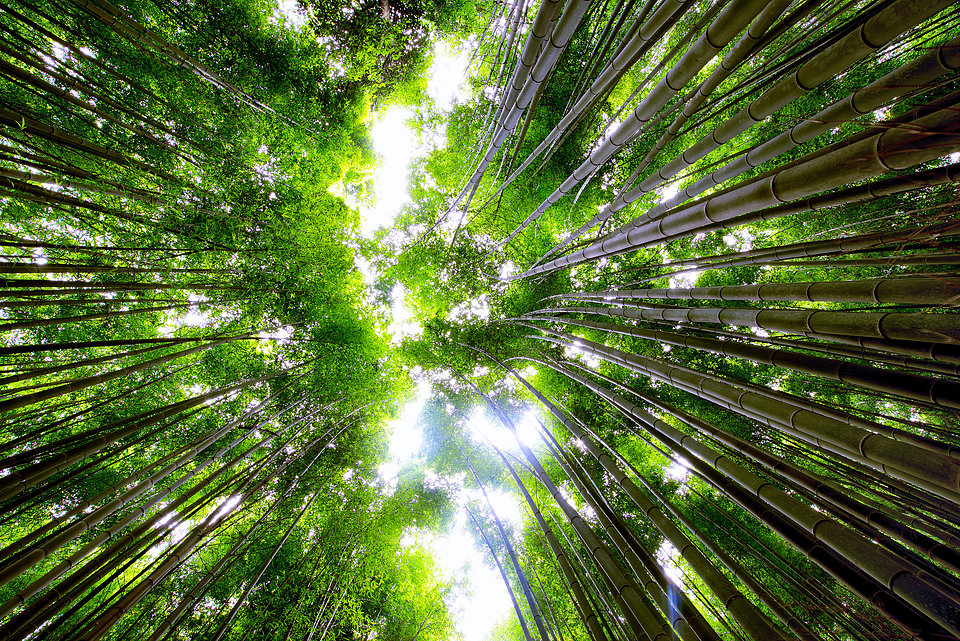 Green Spiral
