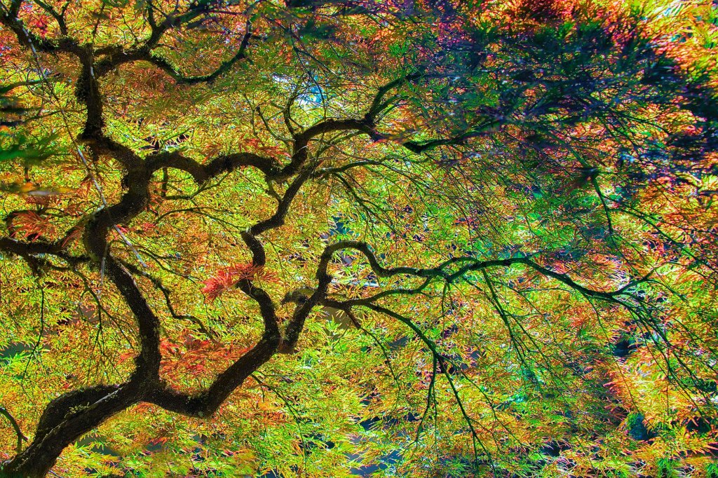 Poetree