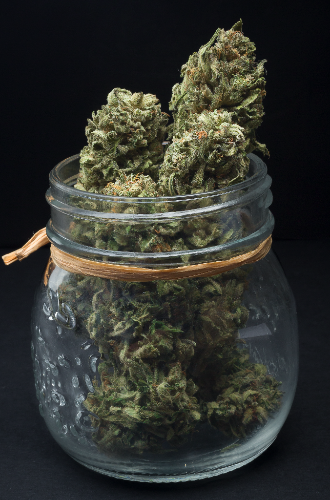 Premium medical cannabis flower with rich terpene profile from licensed cultivation