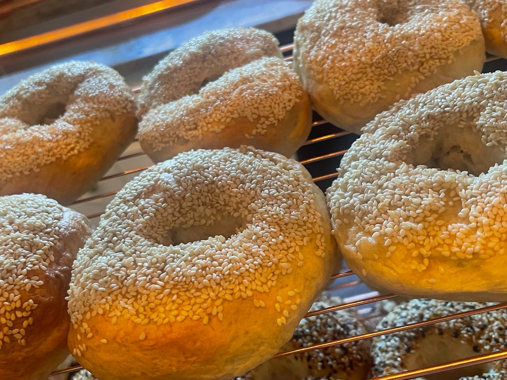 Sesame Sourdough Bagels