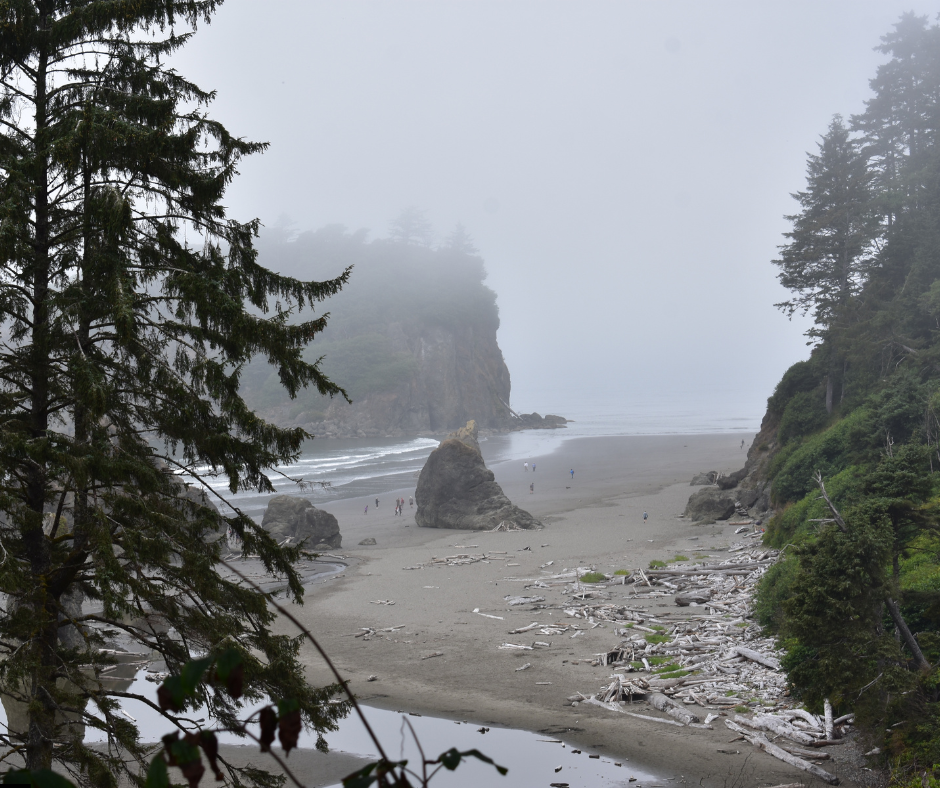 SW Washington Coast