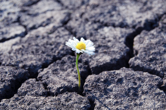 Resilience