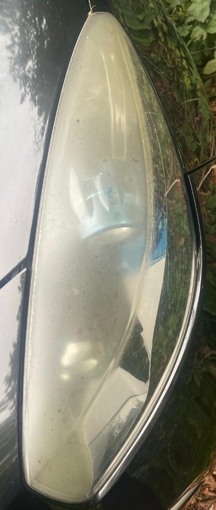 Expert Results - Before