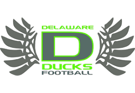 Delaware Ducks