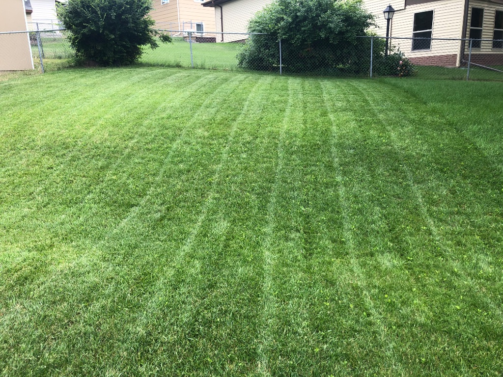 Professional Lawn Mowing