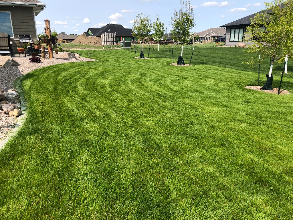 Seasonal Yard Maintenance Calendar for Bismarck Area Homeowners