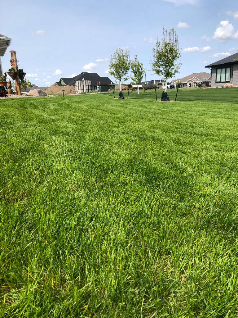 Essential Lawn Care Tips for Bismarck ND Homeowners: A Complete Spring Guide