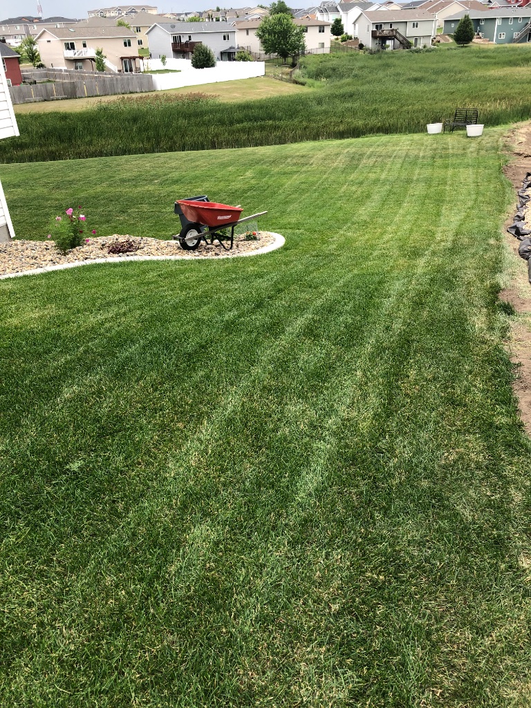 Weed Wacking