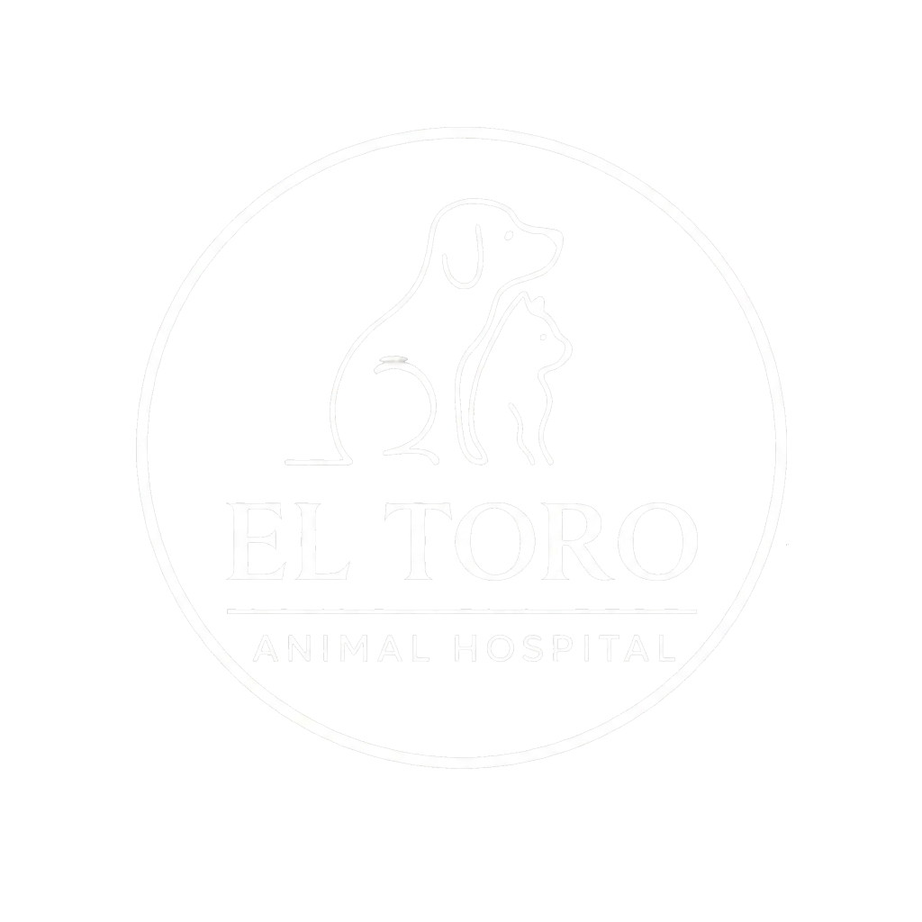 El Toro Animal Hospital
