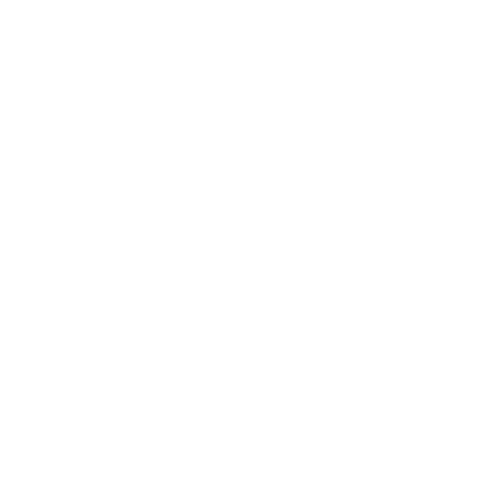 Am Ehad In Action
