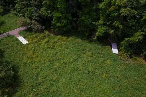 Aerial view of the Tapir Valley Nature Reserve