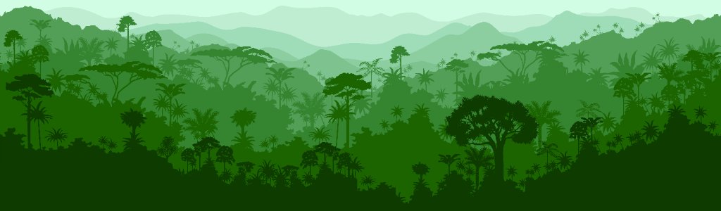 Rainforest