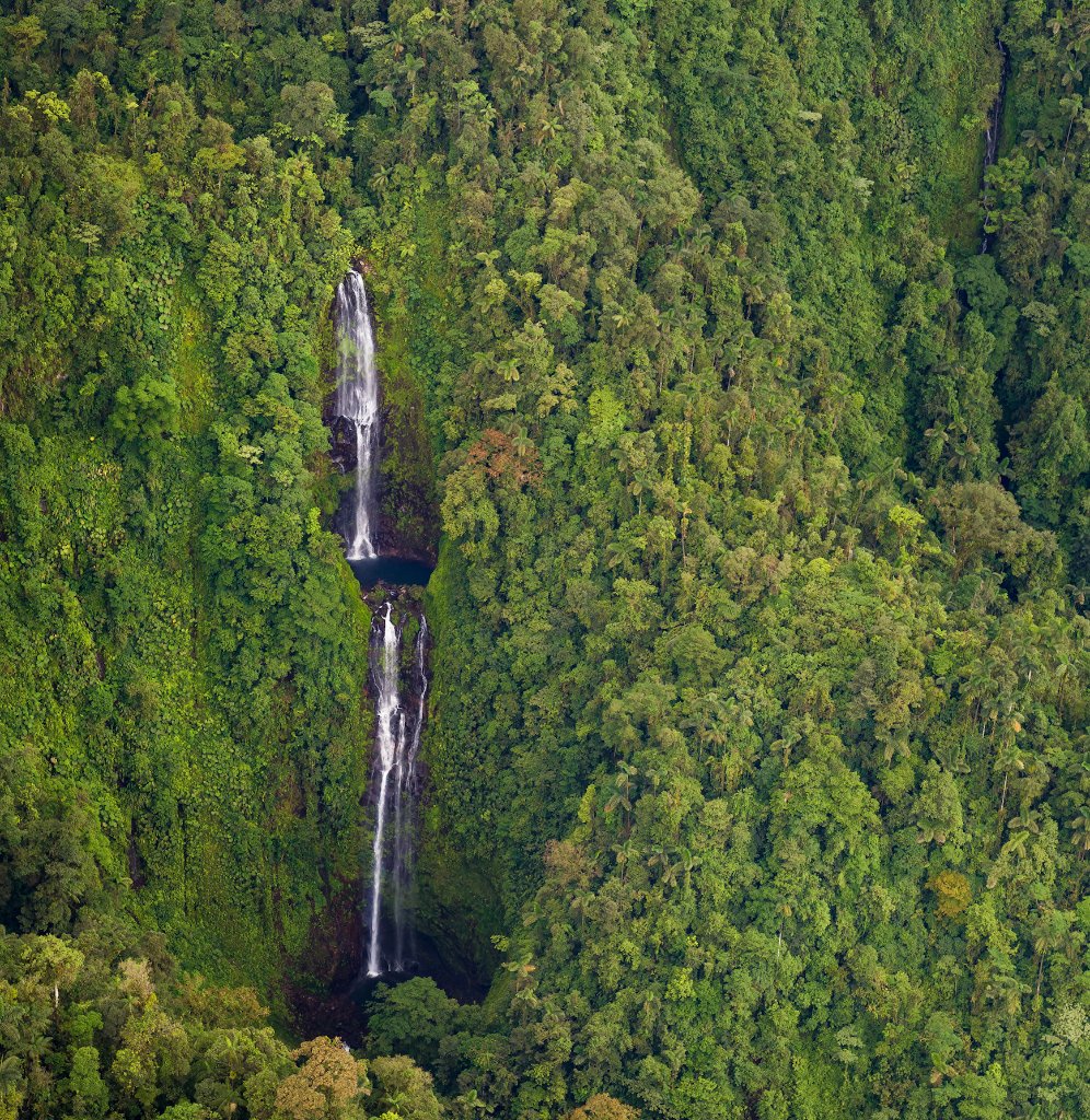La Danta Salvaje conservation property