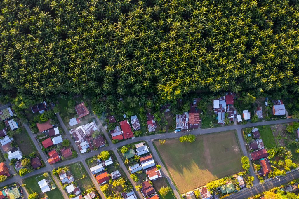 Costa Rica's Greenwashing: The Fight for Authentic Environmentalism